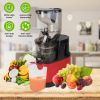 Cold Press Juicer Machine 300W Electric Slow Masticating Juicer for Whole Vegetable and Fruit with Reverse Function 2 Containers Cleaning Brush Clear