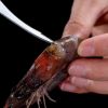 Highlights:1.Stainless steel shrimp floss knife