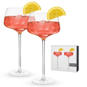 Raye Angled Crystal Amaro Spritz Glasses Viski (Set of 2)